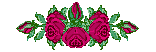 barre de roses