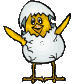 canard