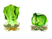 choux