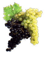 raisin noir et blanc