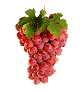 raisins