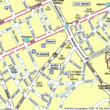 rue du Dr Roux