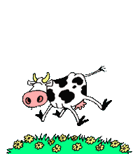 vache ribaude