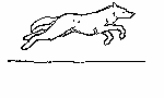 loup courant