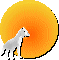 loup hurlant à la lune