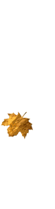 feuilletombant